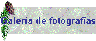 Galera de fotografas