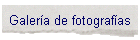 Galera de fotografas