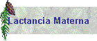 Lactancia Materna
